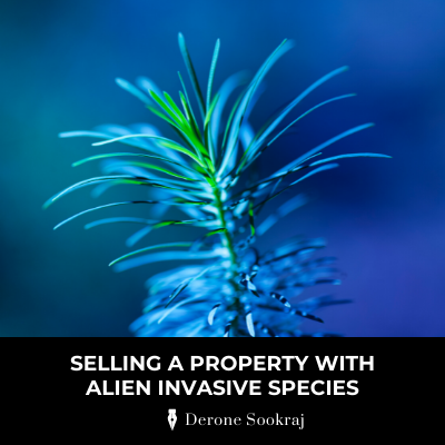 PGPS Attorneys Property Law
